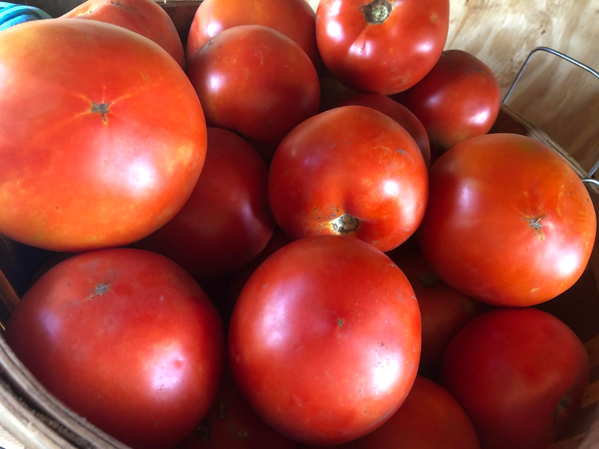 Beefsteak Tomatoes