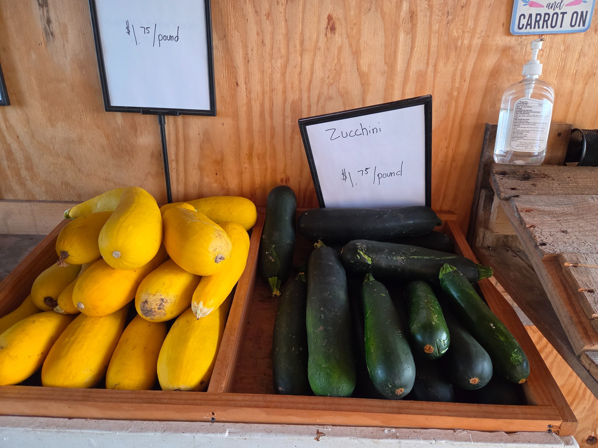 Gold Summer Squash
