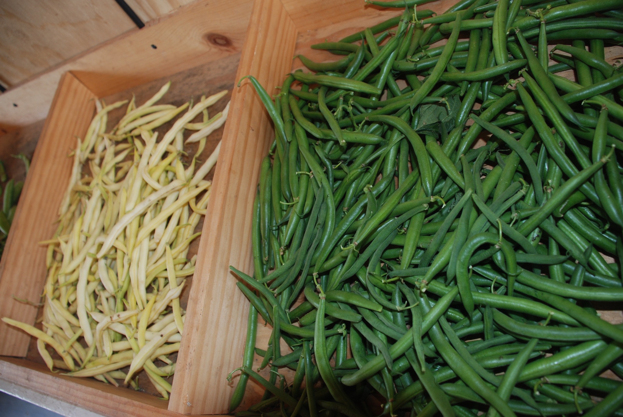 Green Beans