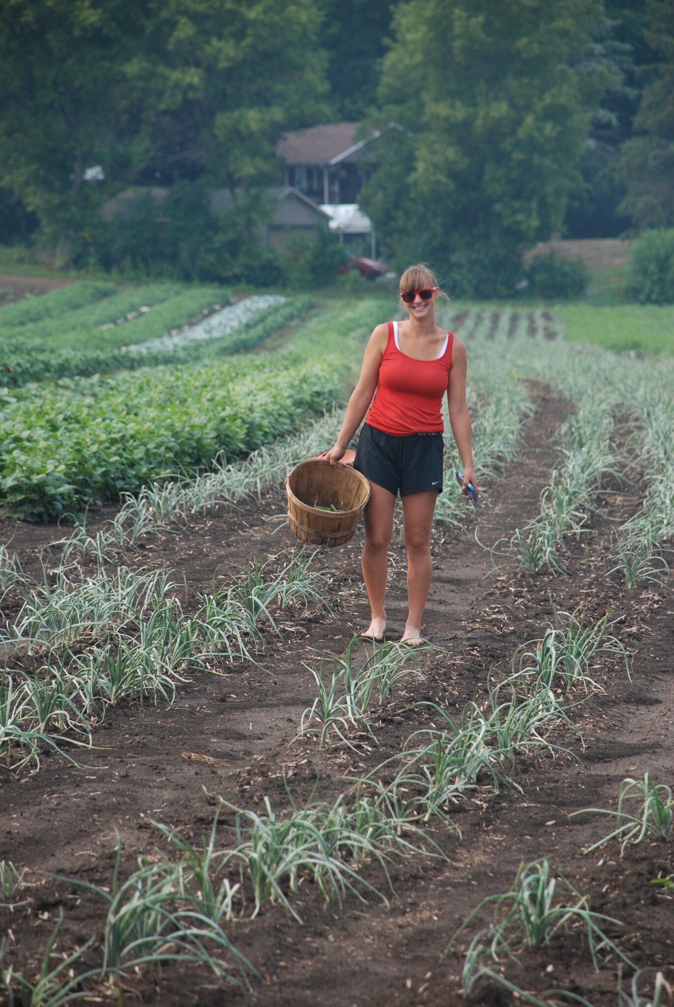 A woman carries a harvest basket between rows of crops at Hilltop Harvests.