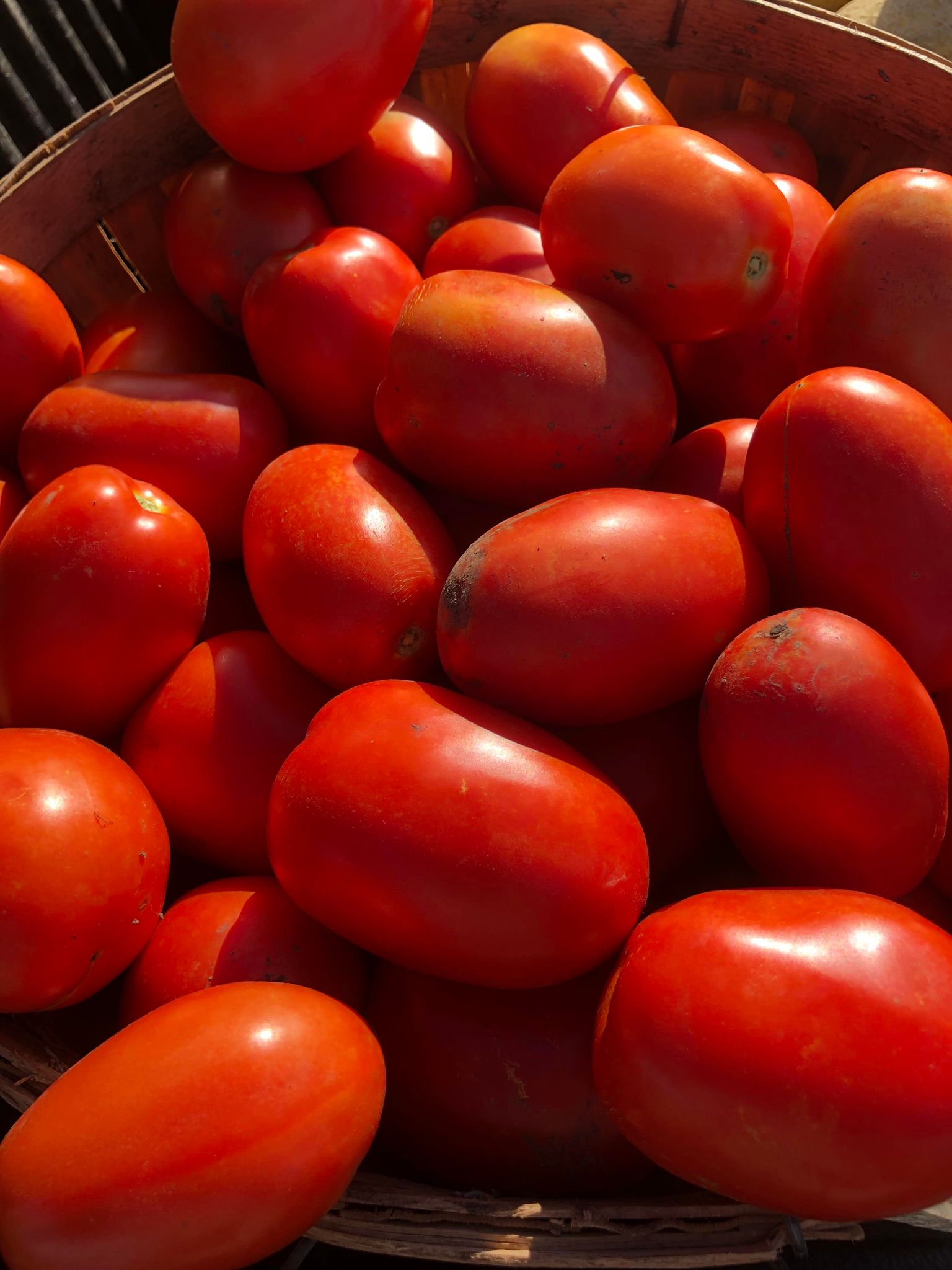 Roma Tomatoes